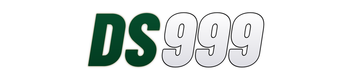ds999 logo